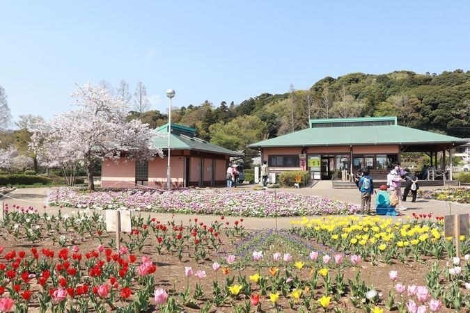 第36回 袖ケ浦公園まつり