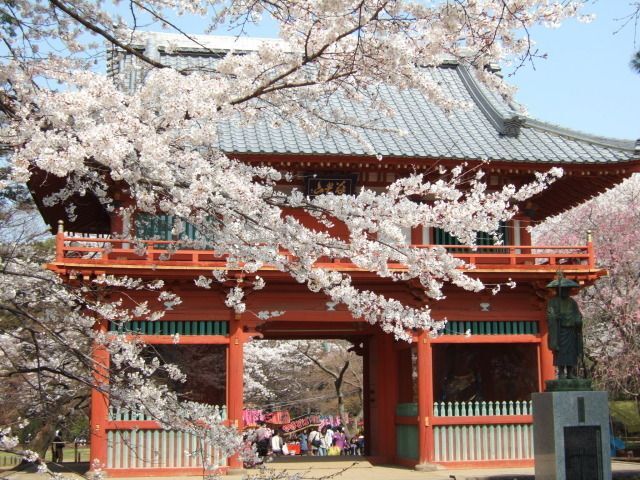 清水公園さくらまつり（清水公園）