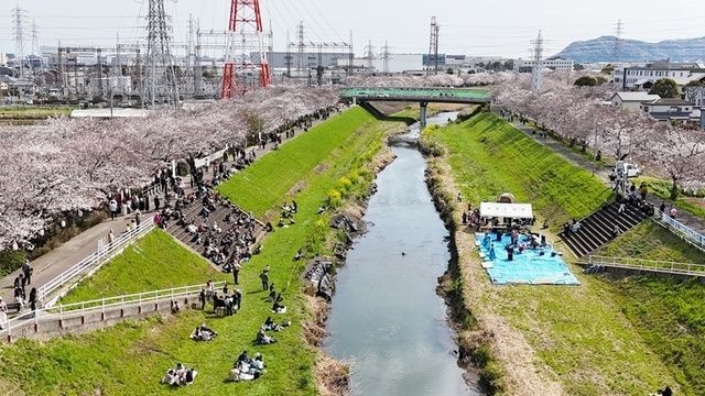 第27回 渋田川桜まつり