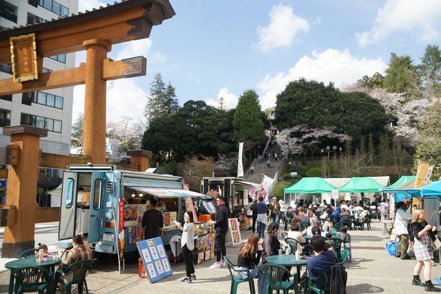 バンバ桜まつり（一般社団法人 宇都宮観光コンベンション協会）