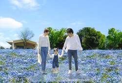 フォトスポット（ネモフィラスカイステージ・イメージ）