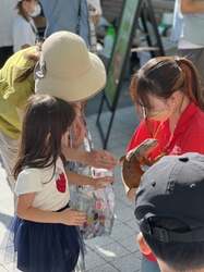 「海辺の公園が動物園に!?　30種以上のいきものと触れ合える2日間限定イベントが神戸で」の写真