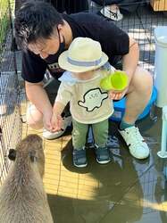 「海辺の公園が動物園に!?　30種以上のいきものと触れ合える2日間限定イベントが神戸で」の写真
