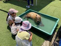 「海辺の公園が動物園に!?　30種以上のいきものと触れ合える2日間限定イベントが神戸で」の写真