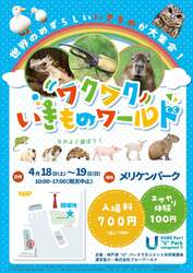 「海辺の公園が動物園に!?　30種以上のいきものと触れ合える2日間限定イベントが神戸で」の写真