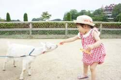 「年パス最大4000円引きも！那須高原りんどう湖ファミリー牧場に大型室内遊具ゾーンOPEN」の写真