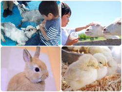 仔やぎのミルクあげ＆牧場動物ふれあい広場