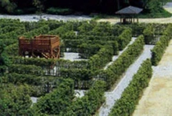 「全国のおすすめ巨大迷路＆立体迷路29選！日本最大級＆変わり種＆アスレチック要素も」の写真