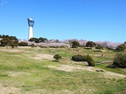 「いわきマリンタワー」の展望室からは、いわき市内が一望できます