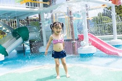 ボザッピィのジャングルジム