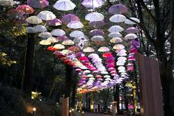 ライトアップ演出