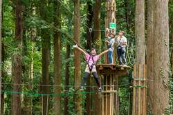 「森でターザン体験も！フォレストアドベンチャー・蓼科が家族向けコースにリニューアル」の写真
