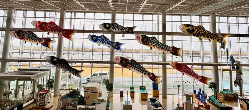 こいのぼり水族館