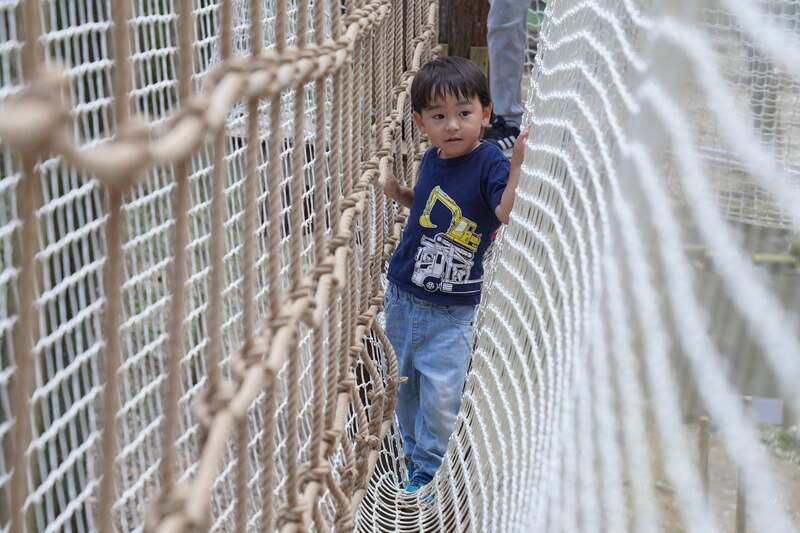 ネットコース イメージ