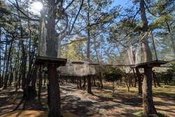 吹上浜 設置コース 外観