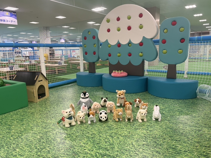 動物園コーナー