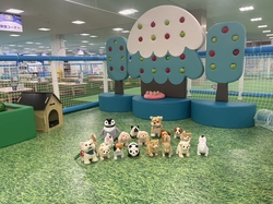 動物園コーナー