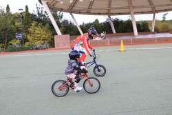 専門スタッフが指導しながら体験をサポート