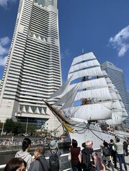 日本丸メモリアルパークフリーマーケット