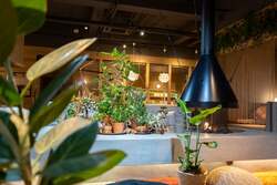 「自分で作ったこいのぼりが天井を泳ぐ！熊谷の温浴施設で「こどもの日」ワークショップ」の写真