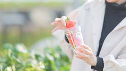 「自分で採ったいちごでピザ作り。里山の春を満喫する特別体験が千葉・八街で　温泉も！」の写真