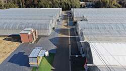 やちまた里山ファーム いちご園