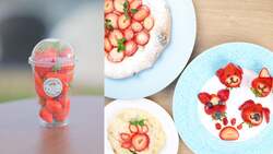 「自分で採ったいちごでピザ作り。里山の春を満喫する特別体験が千葉・八街で　温泉も！」の写真