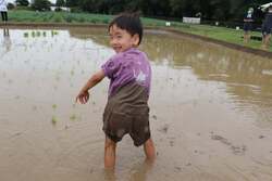 「遊園地でどろんこ田植え体験！おにぎり＆豚汁付き　むさしの村で農業体験イベント開催」の写真