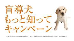 「つむぱぱ工作室にペット写真展も！GWは玉川高島屋S.C.へ　親子イベント盛りだくさん」の写真