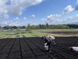 「じゃがいも植え付けやアイス作りも！　子供が主役の「体験フェア」がGWに妙高で開催」の写真