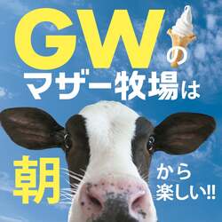 「約200頭の羊を大放牧！約100万本のネモフィラも見頃　マザー牧場でGW特別イベント」の写真