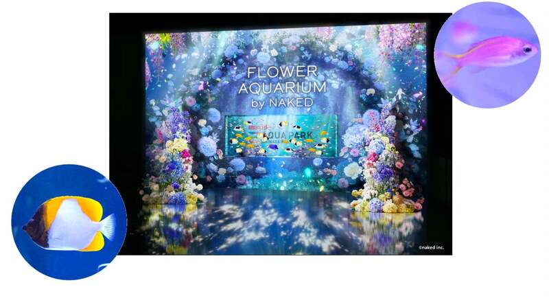 Luminous Flower Gate(ルミナスフラワーゲート)