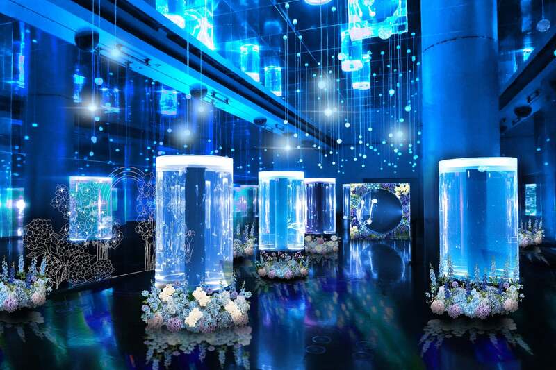 Jellyfish Kaleidoscope(ジェリーフィッシュカレイドスコープ)