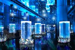 Jellyfish Kaleidoscope(ジェリーフィッシュカレイドスコープ)