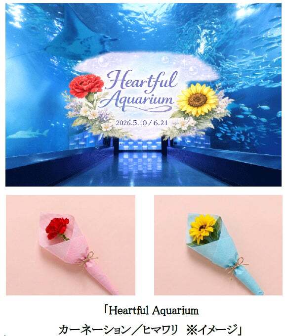 Heartful Aquarium(ハートフルアクアリウム)