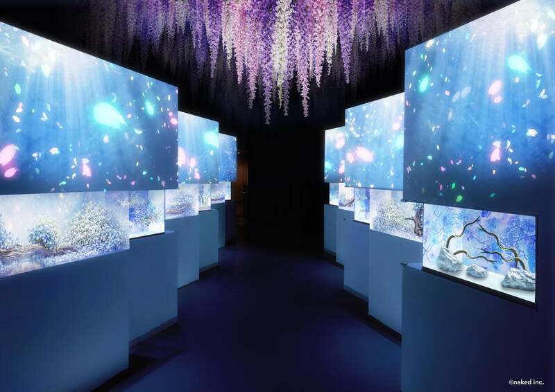 Blossom Glow Way（ブロッサムグロウウェイ）