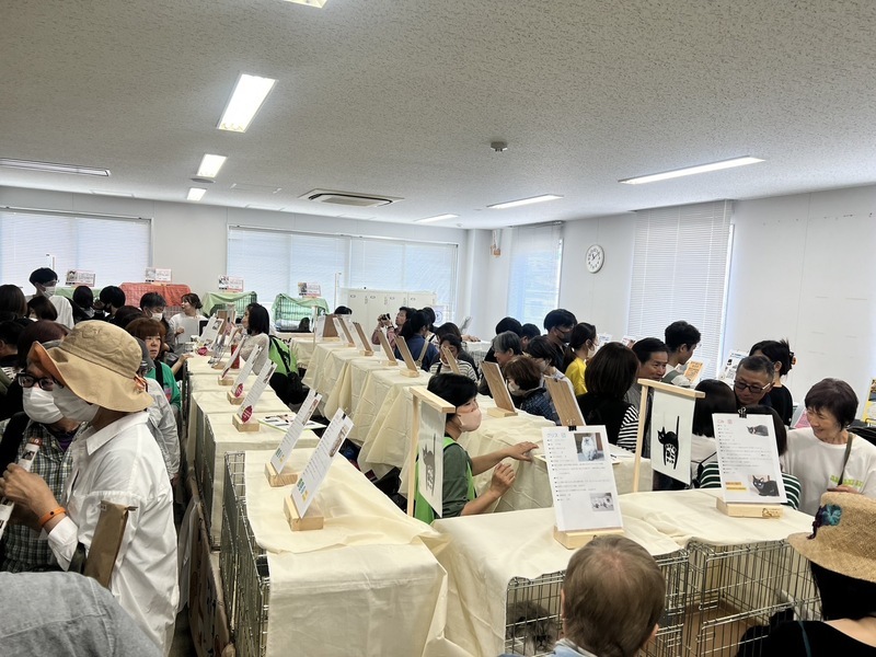 【関西】2026年5月におすすめ！親子向けおでかけ先＆イベントまとめの12枚目の写真