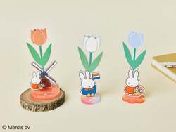 HUIS TEN BOSCH×Flower Miffy アクリルベース3種