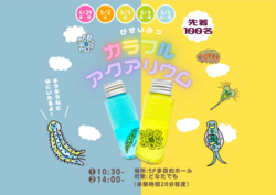 カラフルなアクアリウムを親子で作ろう！