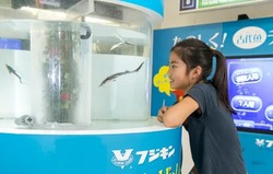 ３億年前から存在する魚「チョウザメ」を観察