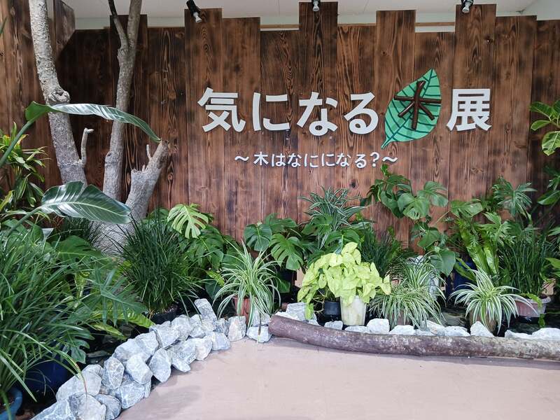 学習要素やミニアスレチックもある展示場