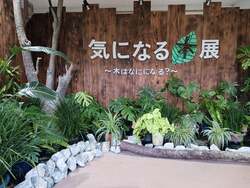 学習要素やミニアスレチックもある展示場