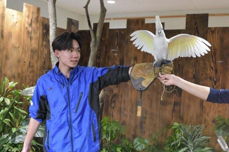 鳥たちとのふれあいは貴重な体験