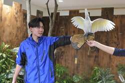 鳥たちとのふれあいは貴重な体験