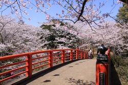 水郷おみがわ桜つつじまつり│（C）香取市商工観光課