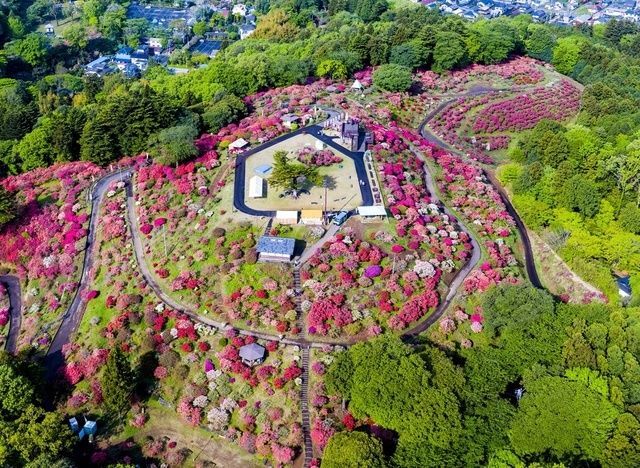 第55回 笠間つつじまつり（一般社団法人笠間観光協会）