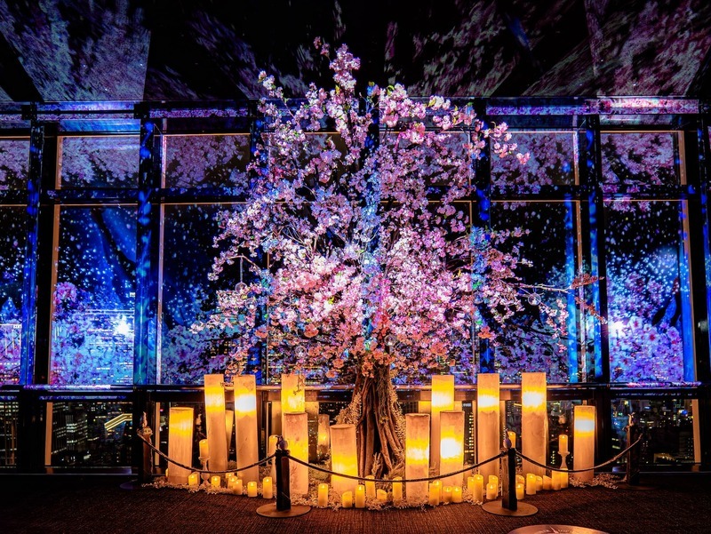 「TOKYO TOWER CITY LIGHT FANTASIA - Spring Concerto 2026 -」