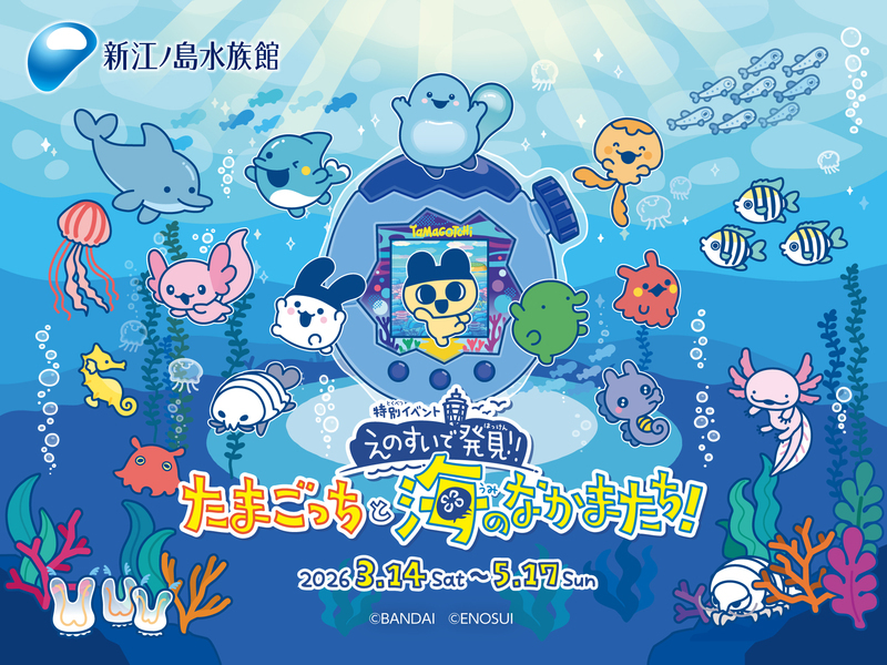 「えのすいで発見!!たまごっちと海のなかまたち!」※画像はイメージです
