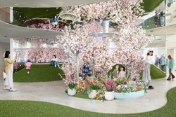 「てんぼうパーク さくらまつり」※画像はイメージ