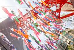 「333匹の鯉のぼりと夜桜マッピングが登場！　東京タワーで楽しむGWの特別プログラム」の写真